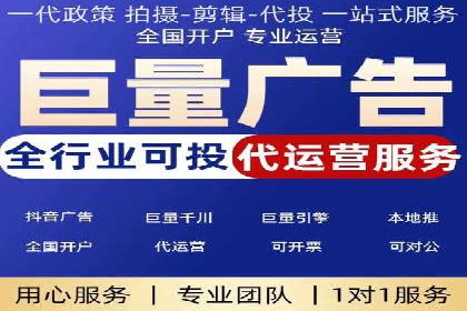 网络推广竞价策略解析与应用案例